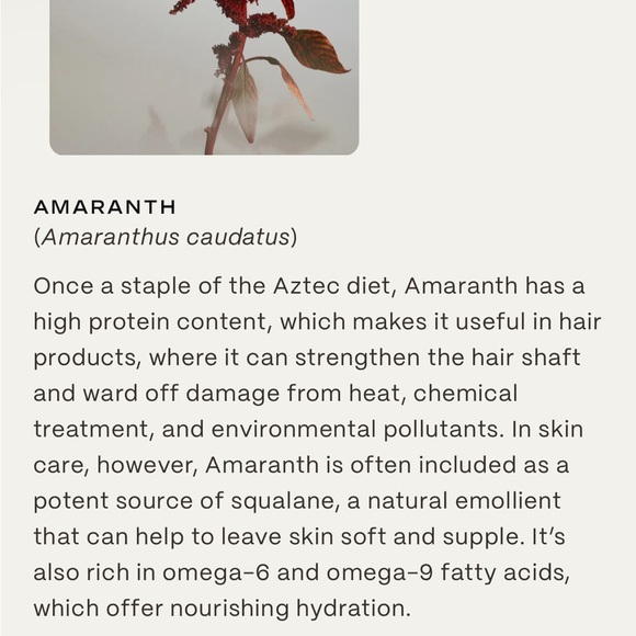 29 Palms Santa Ana Salve Facial moisturizer twenty nine palms 1.4 oz - Picture 7 of 8